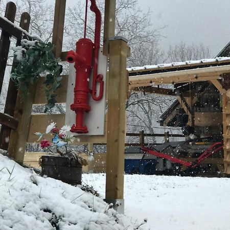Bed and Breakfast Au Sommet Des Narcisses Albiez-Montrond Exterior foto